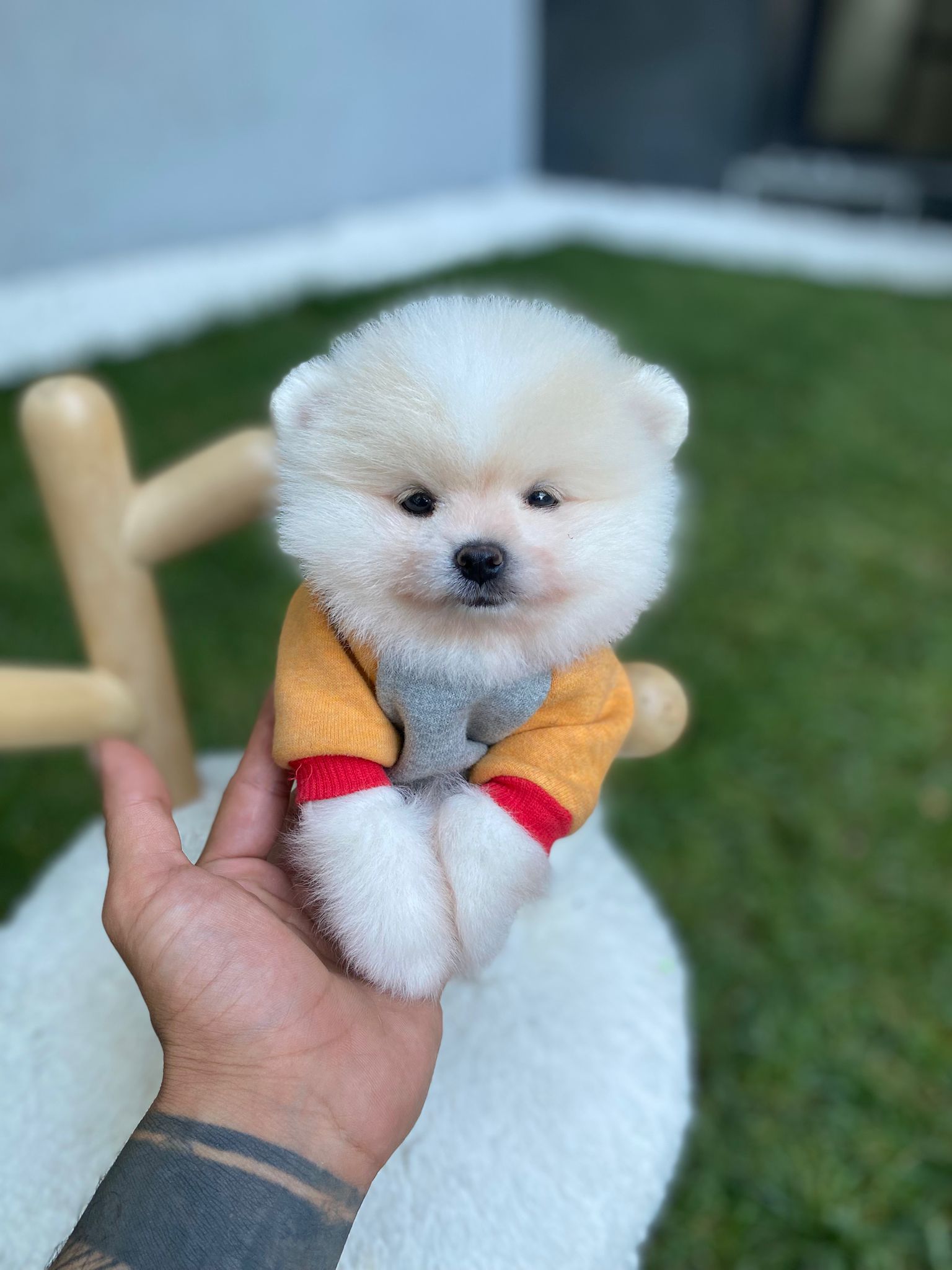 Puffy